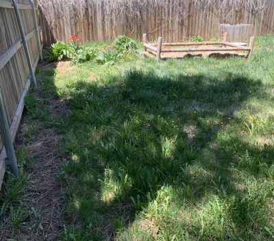 Before Landscaping Maintenance and Design