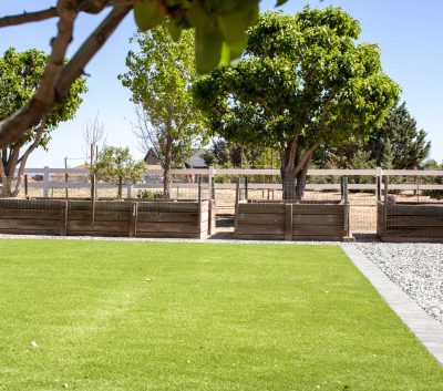 artificial turf installation